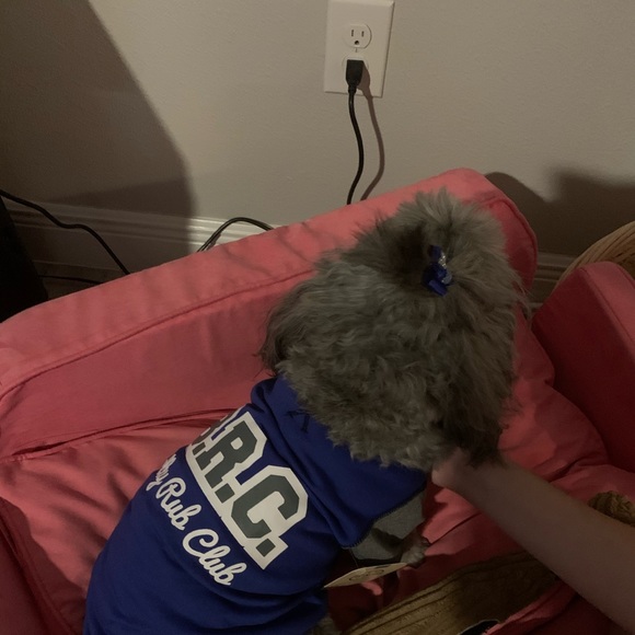 Dogs T-Shirt. - Picture 9 of 9